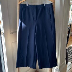 Ann Taylor Navy Petite Cropped Dress Pants